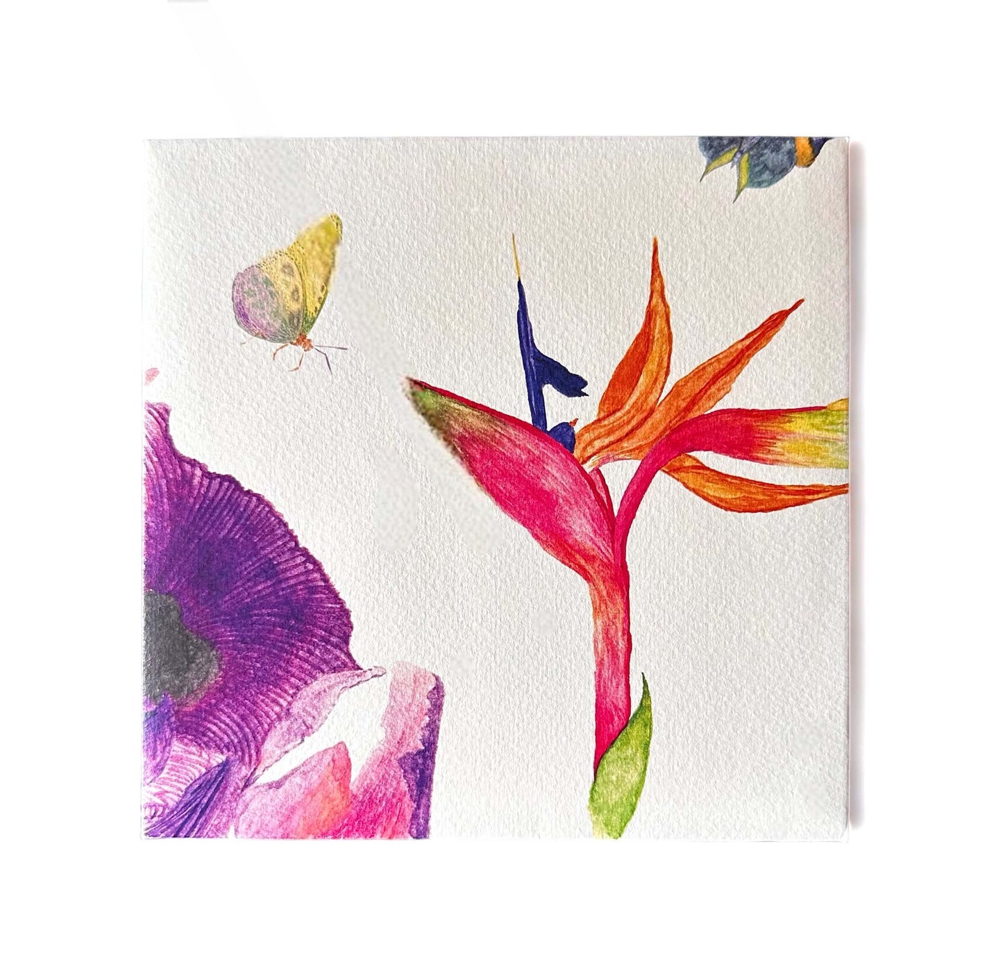 Bird of Paradise Card with envelope