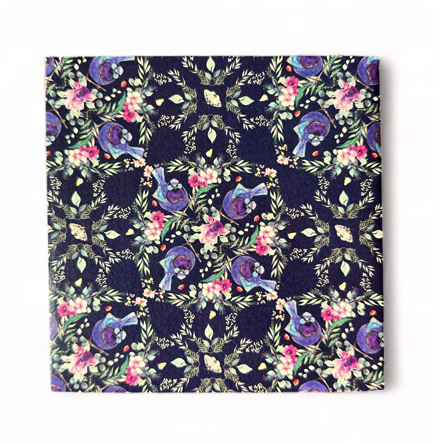 Splendid Fairy Wren Card with envelope (limited edition)